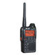 Dual-band Radio from China (mainland)