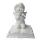 Polyresin Craft from China (mainland)