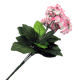 Artificial Flower from China (mainland)