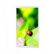 4" TFT LCD Display Module from China (mainland)