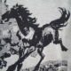 Cotton Fabric from China (mainland)