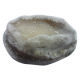 Frozen abalone from China (mainland)