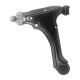 Black Track Control Arm from China (mainland)