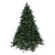 Christmas Tree from China (mainland)