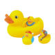 Duck from China (mainland)