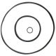 Oil seal spring from China (mainland)