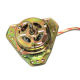 Electric Motor from China (mainland)