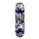 Skateboard from China (mainland)