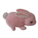 Rabbit from China (mainland)