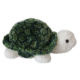 Sea Turtle from China (mainland)