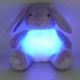 Light-up Toys from China (mainland)