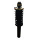 Shock Absorber from China (mainland)