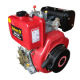Diesel Engine from China (mainland)