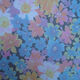 Jersey Fabric from China (mainland)
