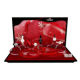 Acrylic Display from China (mainland)