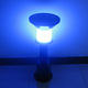 Solar Lawn Light from China (mainland)