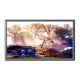 LCD Professional Display from China (mainland)