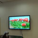 Interactive Display from China (mainland)