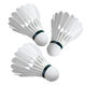 Shuttlecocks from China (mainland)
