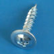 Tapping Screw from China (mainland)