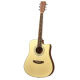Acoustic Guitar from China (mainland)