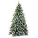 Christmas Tree from China (mainland)