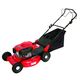 Lawn mower from China (mainland)