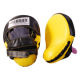 Punch Mitt from China (mainland)