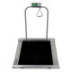 Wheelchair Scale from China (mainland)