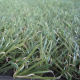 Artificial Turf from China (mainland)