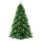 Christmas Tree from China (mainland)
