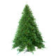 Christmas Tree from China (mainland)