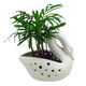 Ceramic Swan Pot from China (mainland)