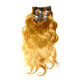 Hair Extension from China (mainland)