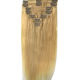 Clip-in Hair Extension from China (mainland)