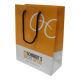 Paper Gift Bag from China (mainland)