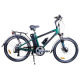 Electric Bicycle from China (mainland)