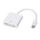 Mini DisplayPort Connector from China (mainland)