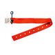 Plastic Snap Lock from China (mainland)