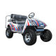 Electric Vehicle from China (mainland)