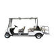 Electric Golf Cart from China (mainland)