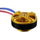 Brushless Motor from China (mainland)
