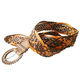 Belt from China (mainland)
