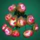 Bouquet Light from Hong Kong SAR
