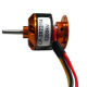 Brushless Motor from China (mainland)