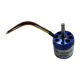 Brushless Motor from China (mainland)