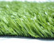 Sports lawns from China (mainland)