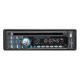 Car Audio System from China (mainland)