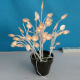Decorative Light from China (mainland)