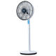 Fan from China (mainland)